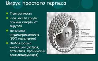 Побледнение или покраснение носогубного треугольника