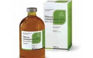 Применение камфорного масла при геморрое