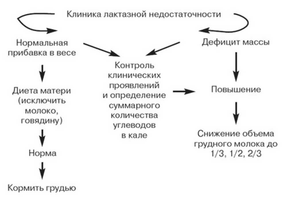Лактазная недостаточность у детей