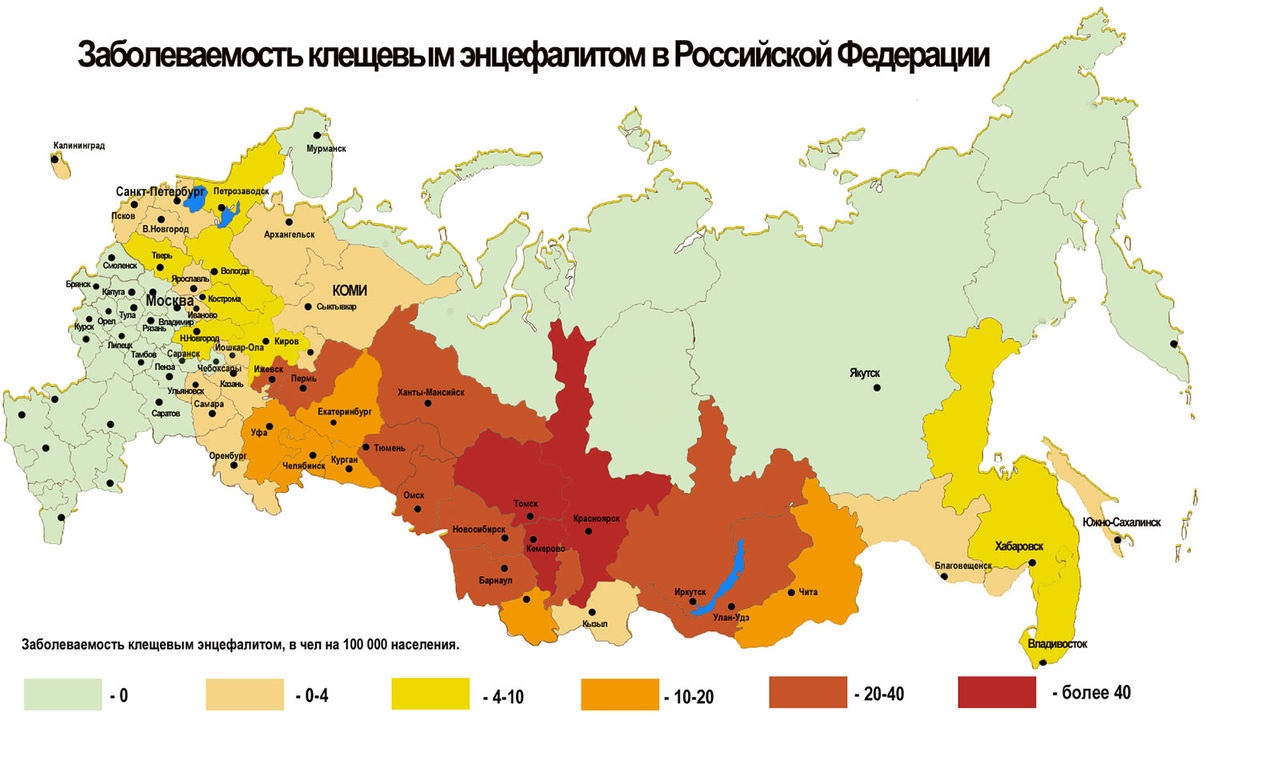 Заболеваемость клещевым энцефалитом в Российской Федерации