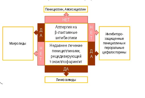 Алгоритм выбора антибиотиков при ангине Алгоритм выбора антибиотиков при ангине