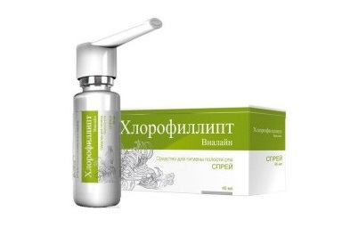 Хлорофиллипт при ангине Хлорофиллипт при ангине