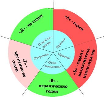 Категории годности 