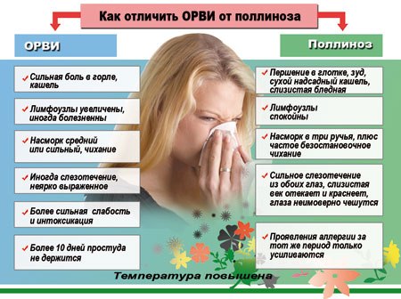 Отличия ОРВИ от полиноза
