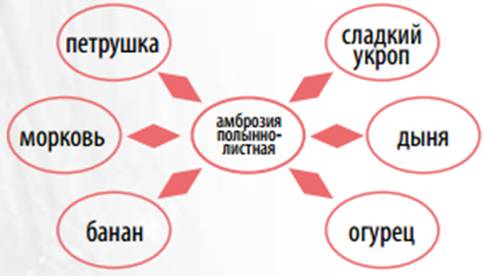 Перекрестная аллергия
